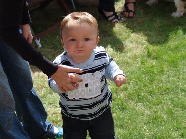 picture-005_8139006650_o