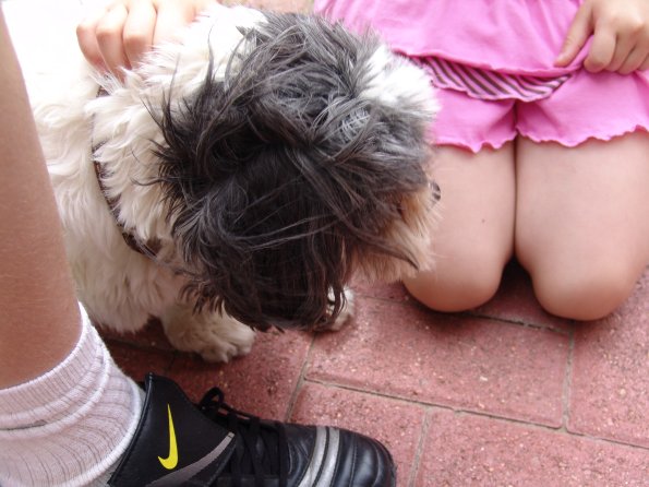 picture-007_8138971073_o