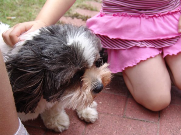 picture-008_8139001162_o