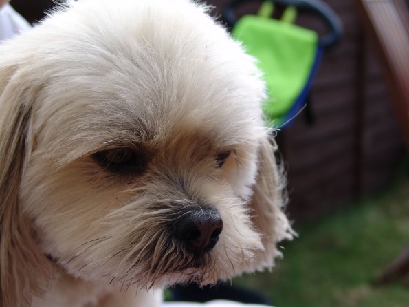 picture-020_8138980626_o