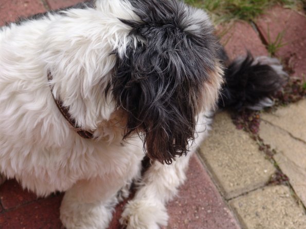 picture-027_8138942169_o