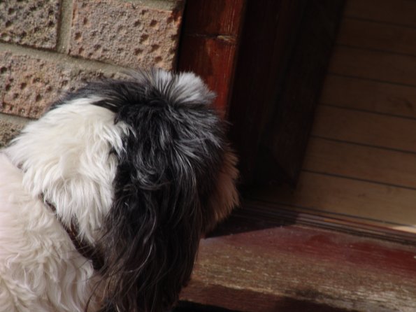 picture-029_8138970372_o