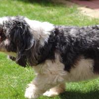 picture-035_8138959684_o