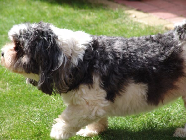 picture-035_8138959684_o