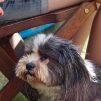 picture-037_8138924055_o