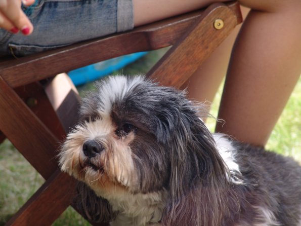 picture-037_8138924055_o