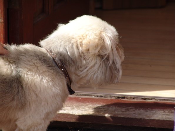 picture-045_8138943550_o