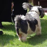 picture-046_8138941712_o