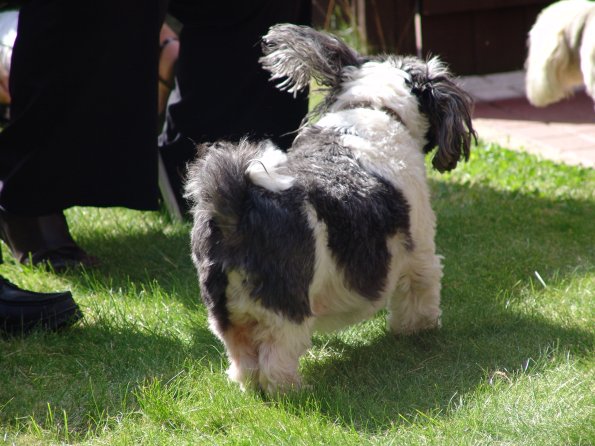 picture-046_8138941712_o