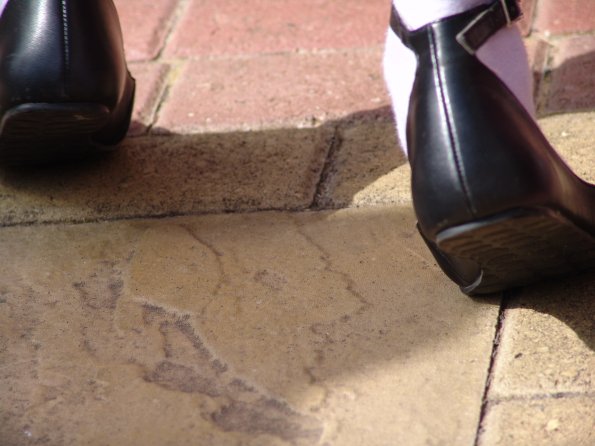 picture-056_8138932054_o