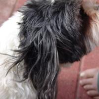 picture-058_8138930280_o