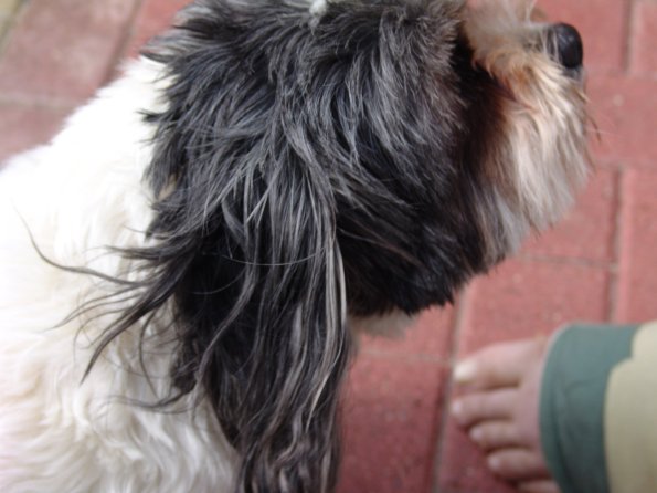 picture-058_8138930280_o