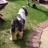 picture-059_8138896693_o