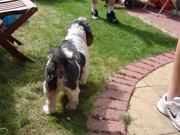 picture-059_8138896693_o