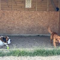 53907759382_88a97e9780_o