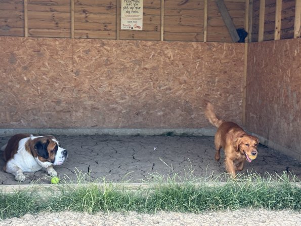 53907759382_88a97e9780_o