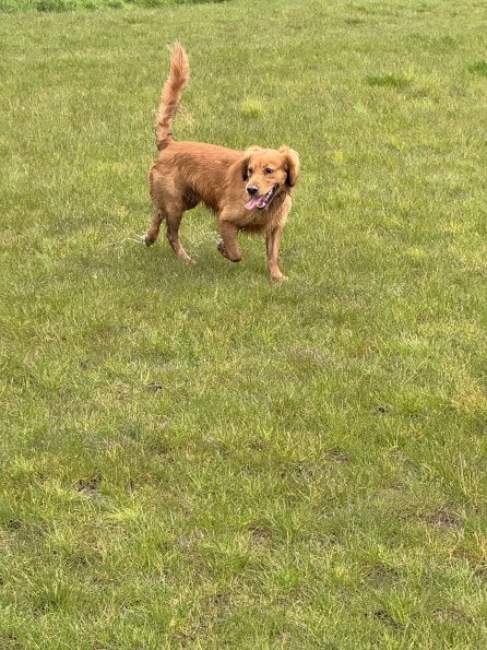 53907788732_b8c990ae58_o