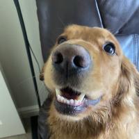 53908685916_c4a0e8b1f6_o