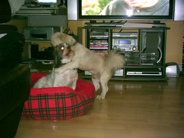 12417400324_2b1b3b6e24_o (1)