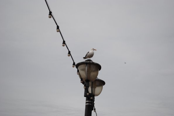 dsc_0854_12136512595_o