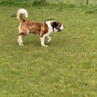 53906591126_11d8c98f50_o