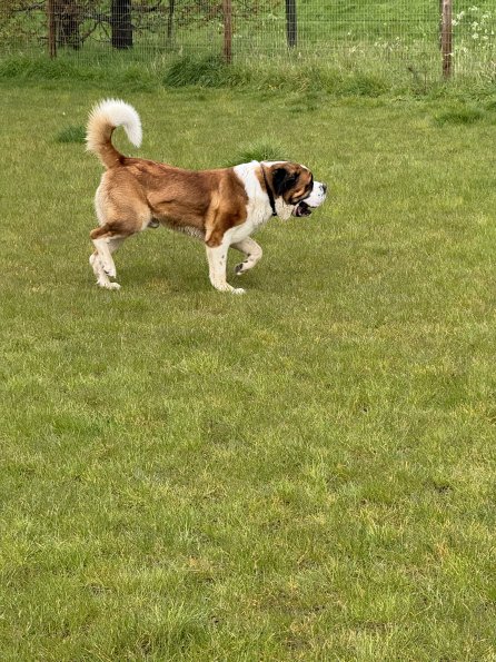 53906591126_11d8c98f50_o