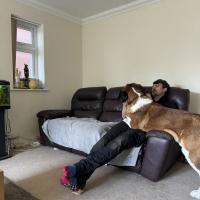 53906594906_ef70f27a8d_o