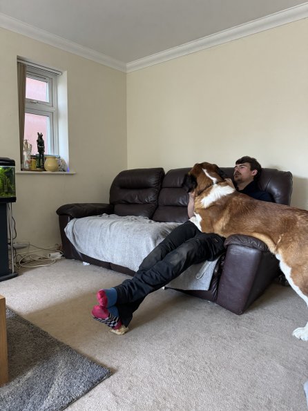 53906594906_ef70f27a8d_o