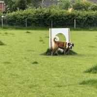 53906886488_a2e9253ac1_o