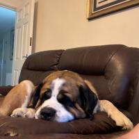 53907580176_ce7bc09901_o