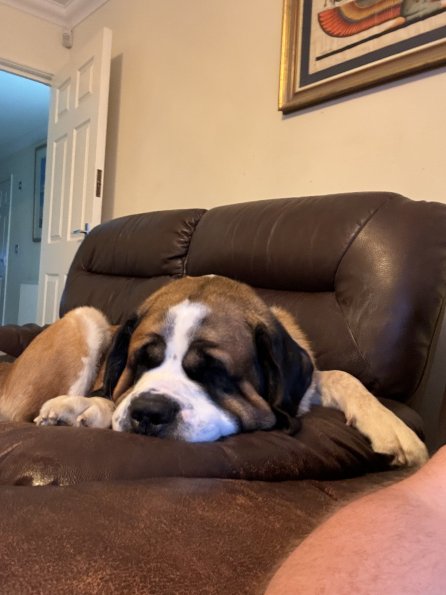 53907580176_ce7bc09901_o