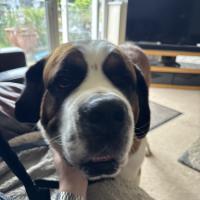 53907759112_d4a29cf970_o