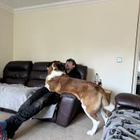 53907788797_bfd72c0519_o