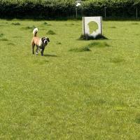 53907788802_035fa8e95c_o