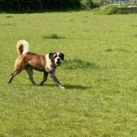 53908902798_c2a05969e5_o