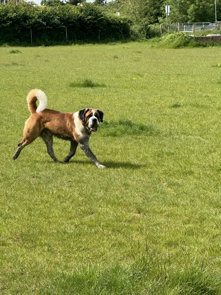 53908902798_c2a05969e5_o