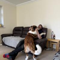 53909035614_9dcbd0771a_o