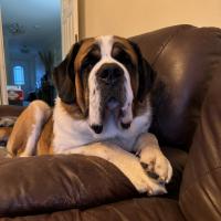 53909036494_92fcededfb_o