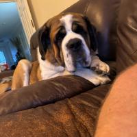 53909128815_84c23a1eff_o