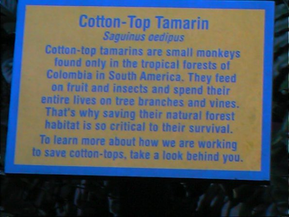 00-00001_12160493483_o