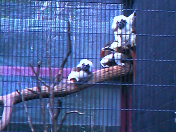 00-00002_12160250695_o