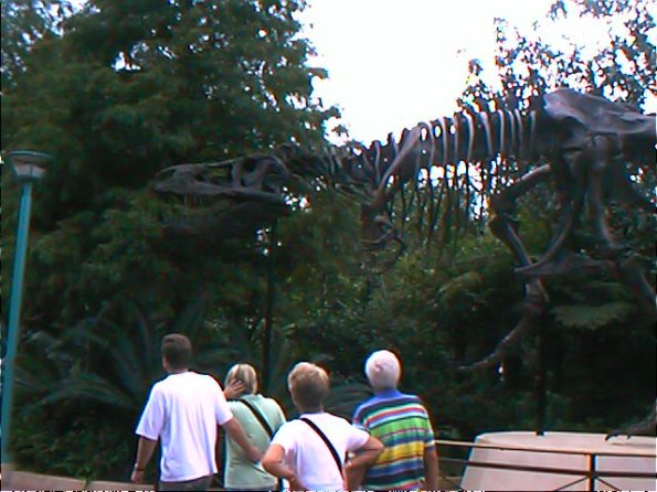 00-00003-1_12160915616_o