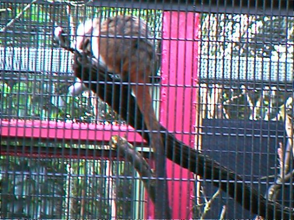 00-00003_12160661274_o