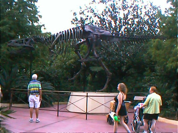 00-00004_12160250245_o