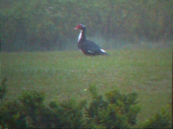 00-00010_12160249685_o