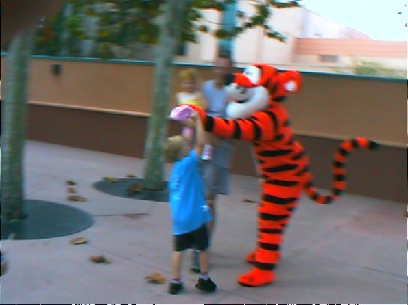 00-00019_12160248925_o