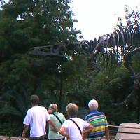 01-00003-1_12160248125_o