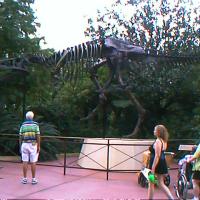 01-00004-1_12160490413_o