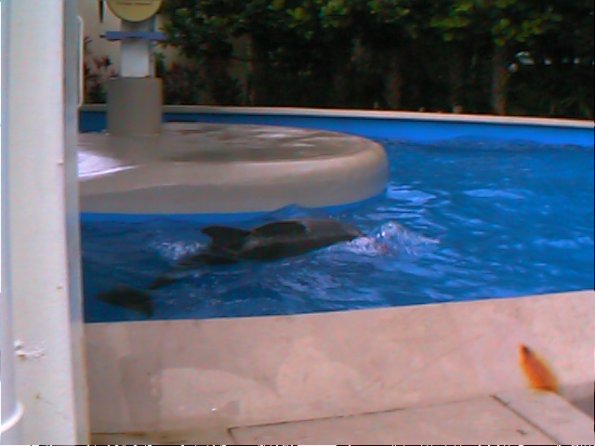 01-00015_12160912166_o