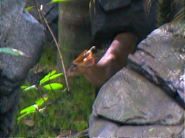 01-00082_12160907596_o